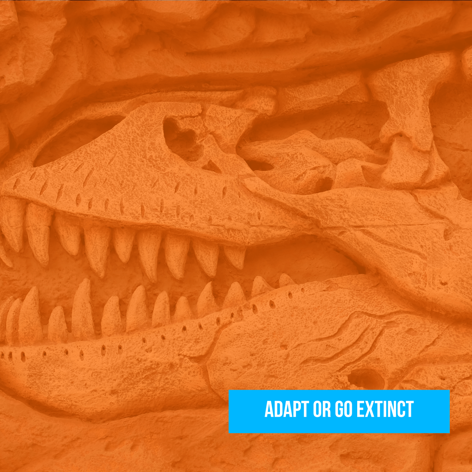 Adapt or Go Extinct: Lessons From the Dinosaurs