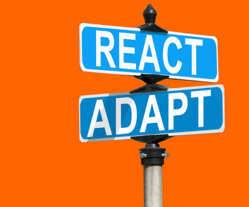 Strategy vs. Pivoting: the art of knowing when to persist and when to change